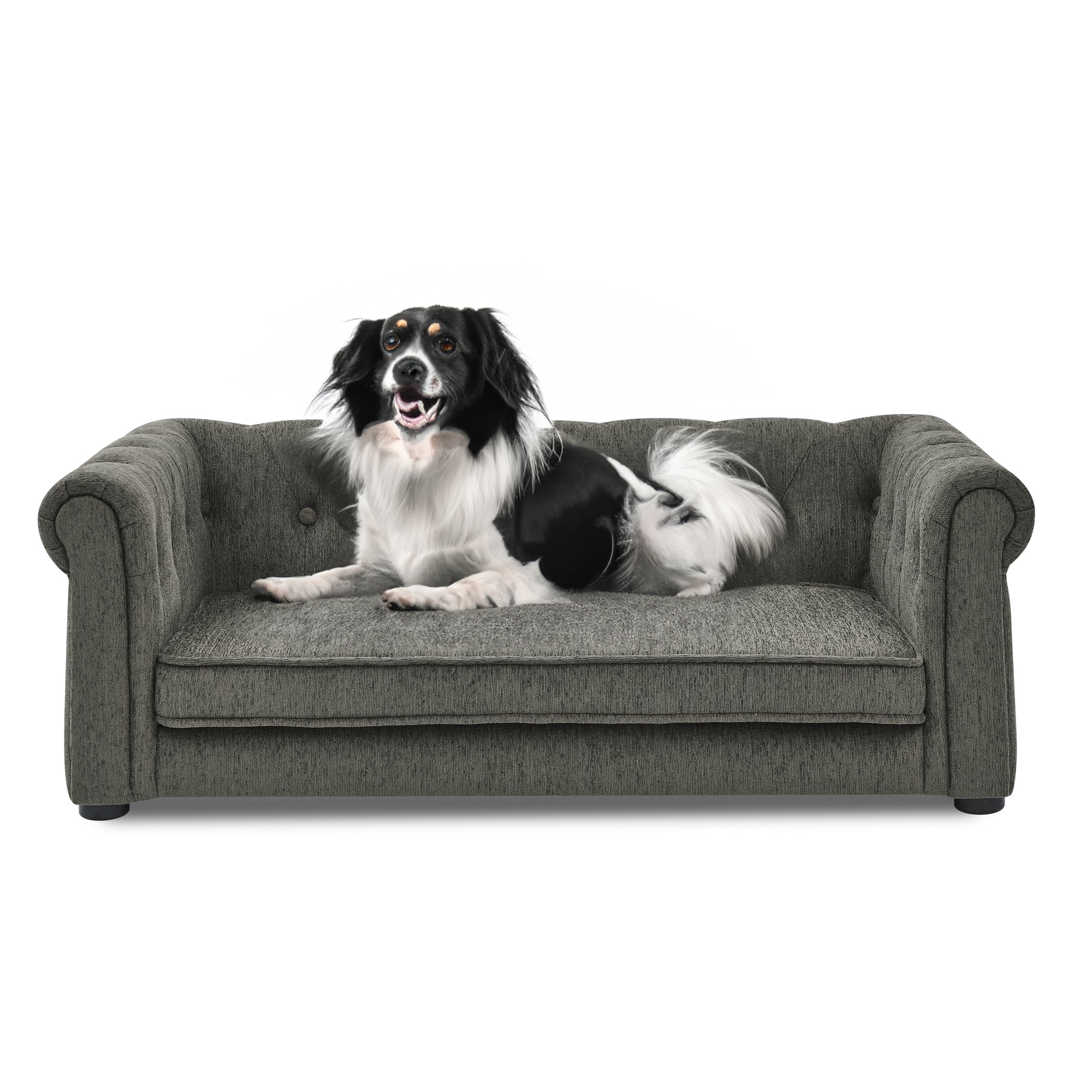 Modern Style Pet Bed Small and Medium Dogs
